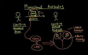medcram antibodies monoclonal
