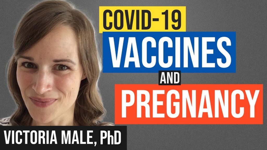 MedCram and Victoria Male, PhD on COVID-19 Vaccines & Pregnancy